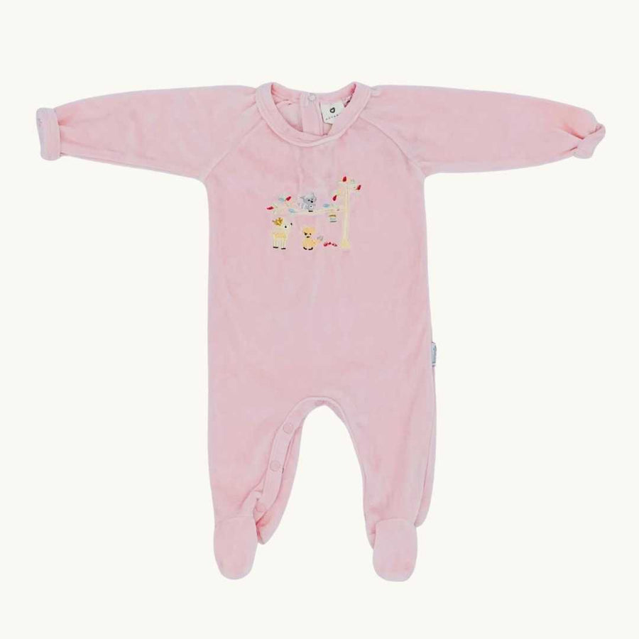 Hardly Worn Korango pink velour sleepsuit size 3-6 months