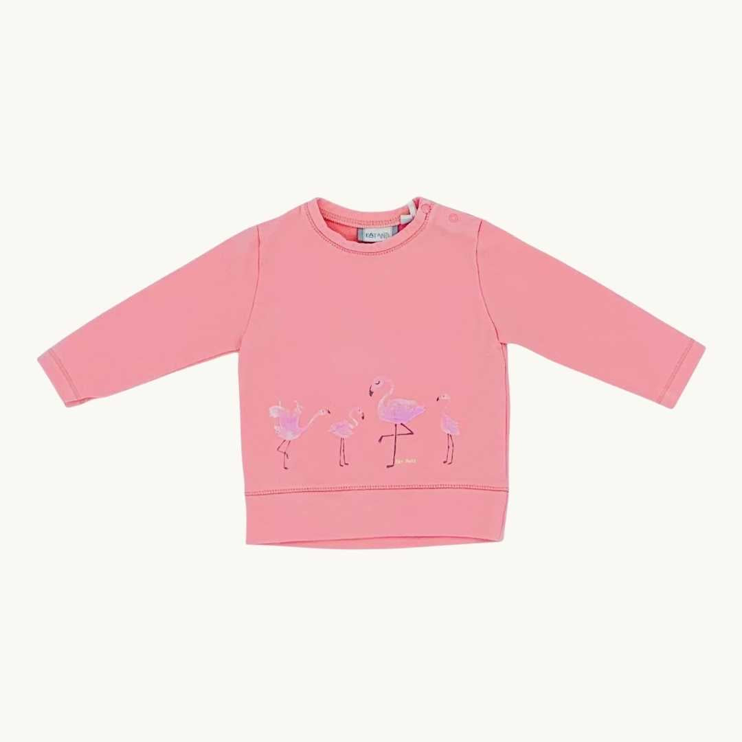 Hardly Worn Eat Ants pink flamingo sweater size 2-4 months