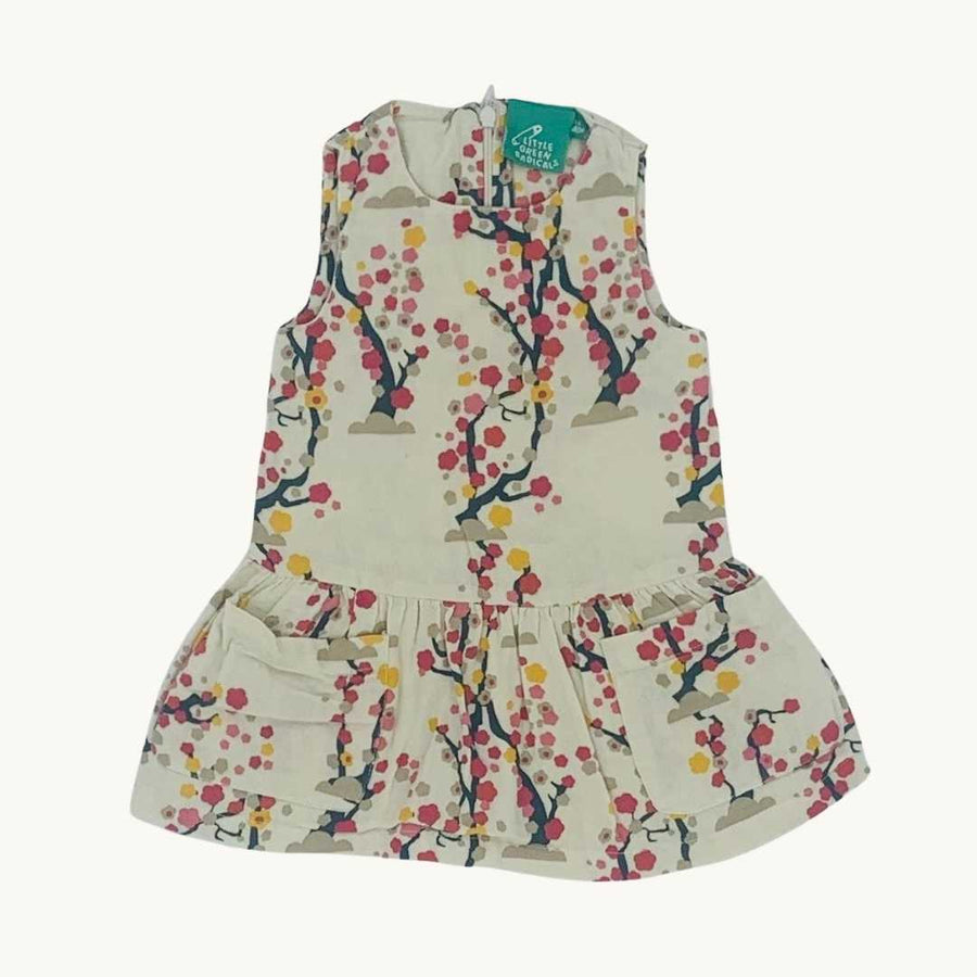 Gently Worn Little Green Radicals blossom dress size 3-6 months